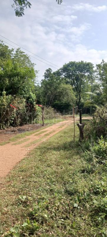 Residential Land for Sale in Kataragama