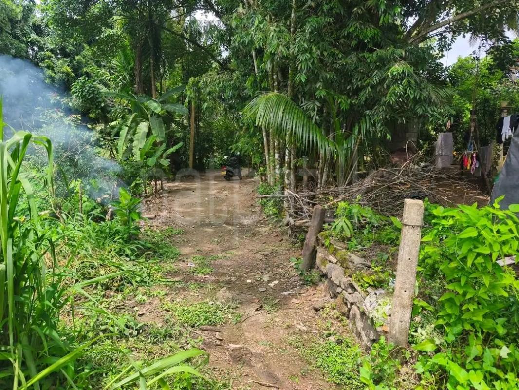 Residential Land for Sale in Weliveriya