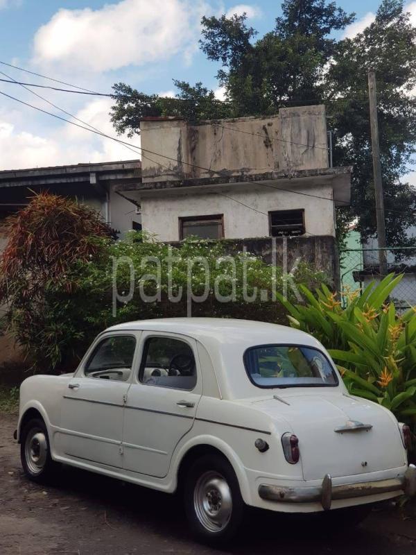 Advertisement image 2