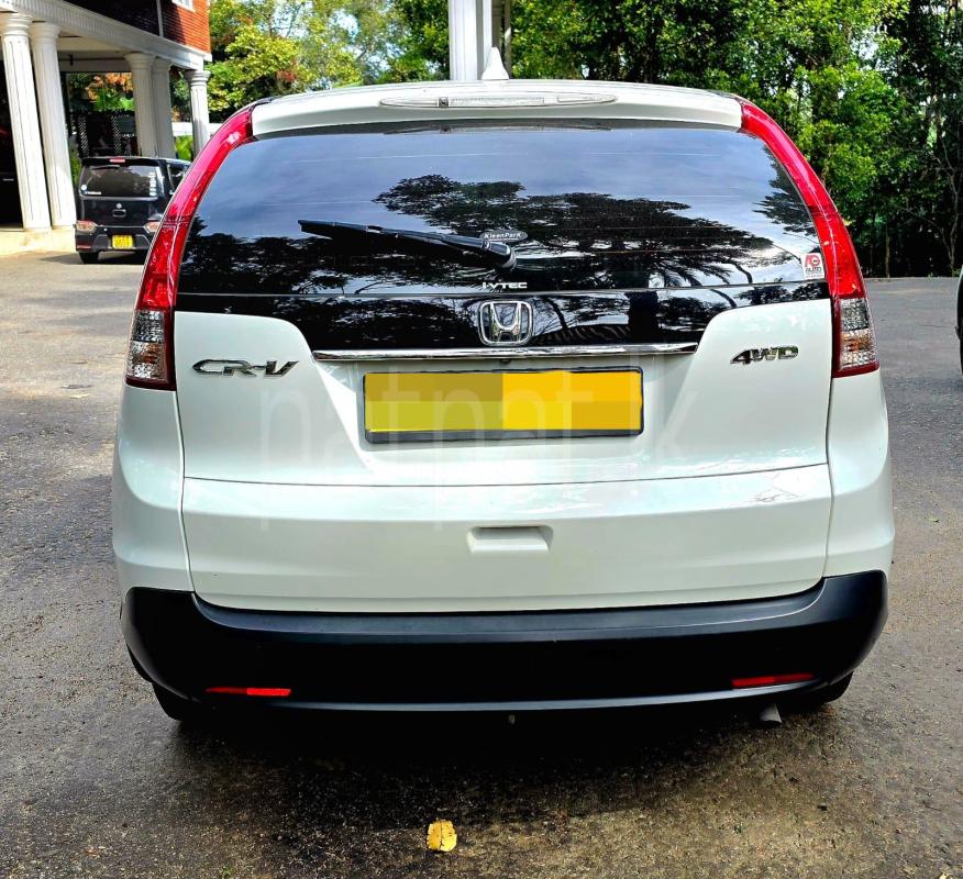 Advertisement image 5