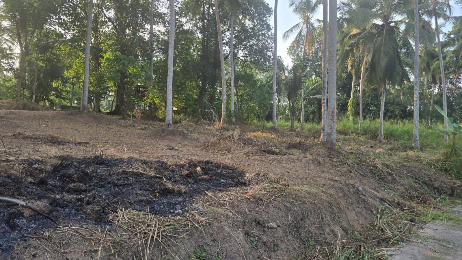 Residential Land for Sale in Yakkala