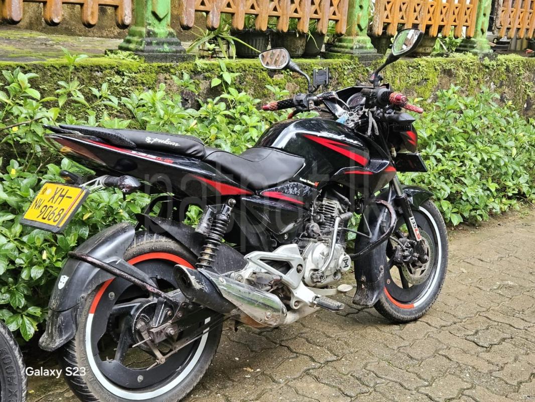 Bajaj Pulsar 2013 - භාවිතා කරන ලද බයිසිකලය sale in Sri Lanka - patpat.lk