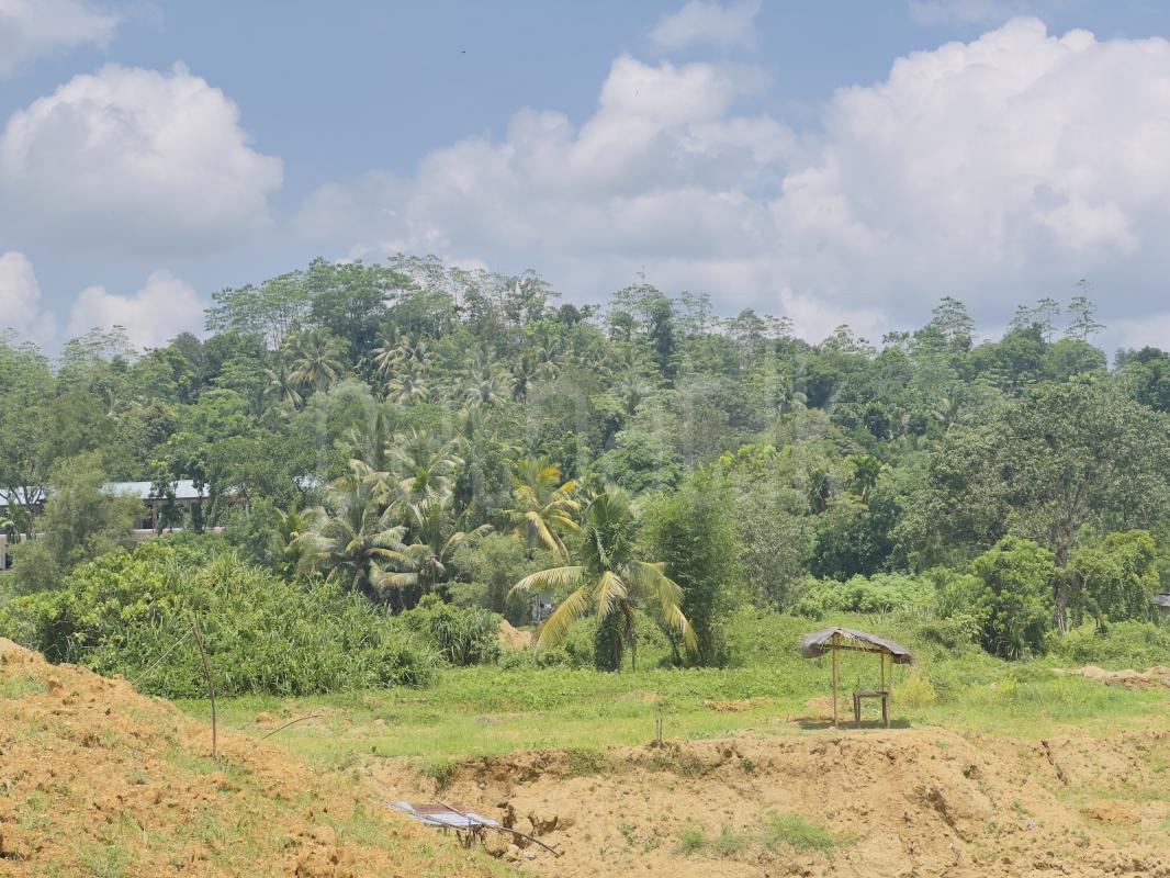 Agricultural Land for Sale in Ratnapura