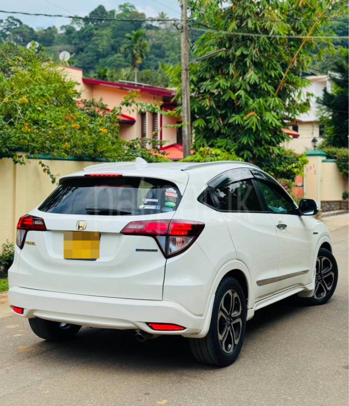 Advertisement image 6