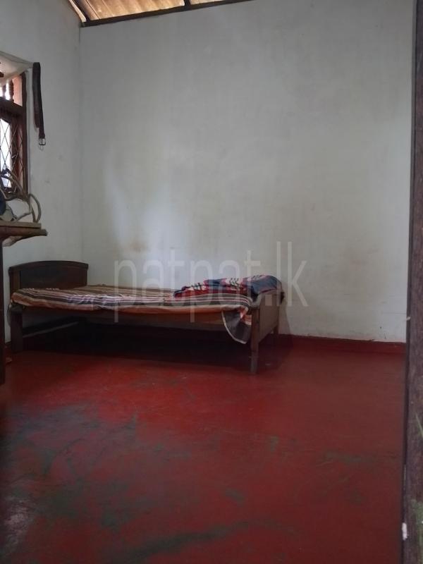 House for Sale in Gampola ads-image-1