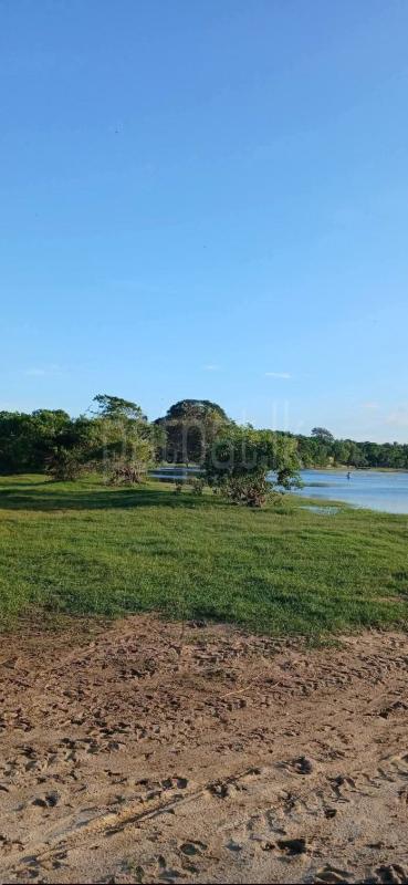 Residential Land for Sale in Tissamaharama