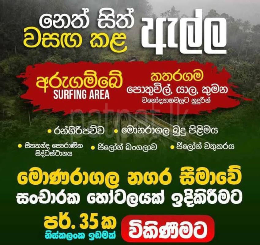 Advertisement image 3