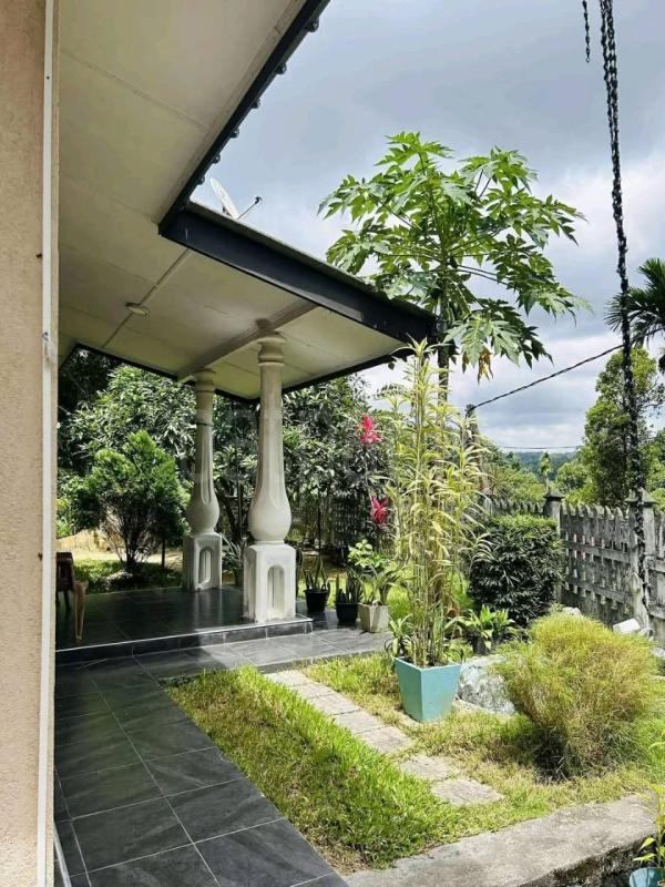 House for Sale in Pilimatalawa ads-image-1