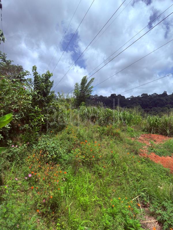 Residential Land for Sale in Peradeniya