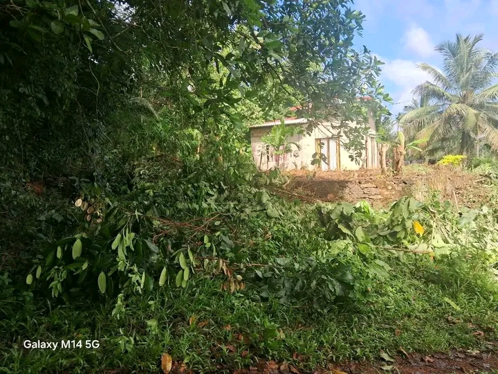 Residential Land for Sale in Mirigama