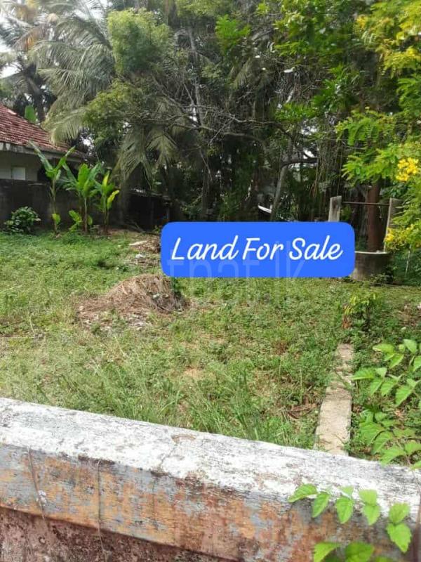 Commercial Land for Sale in Marawila ads-image-1