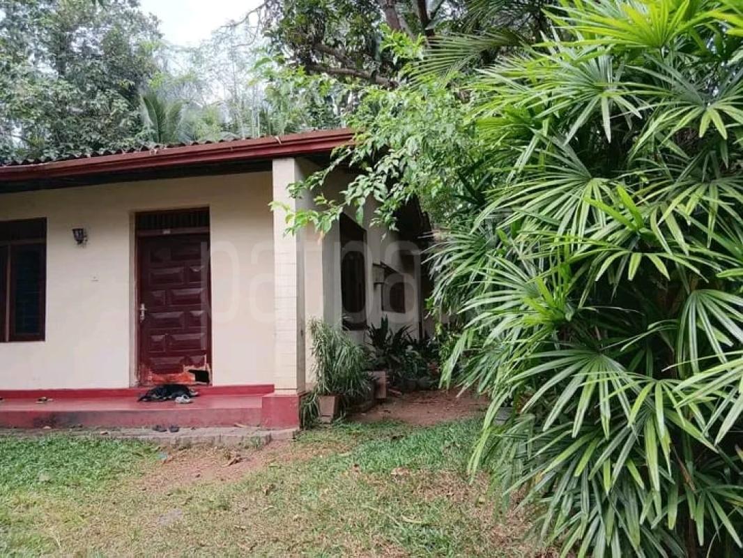 House for Sale in Mahara ads-image-1