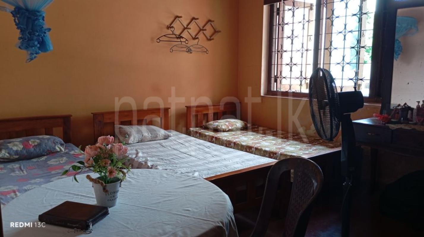 premium-listing-image