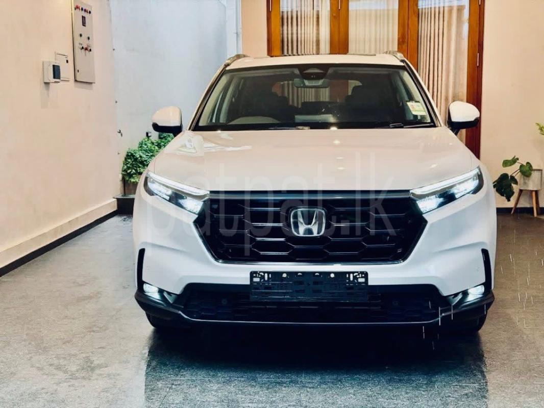 Advertisement image 1