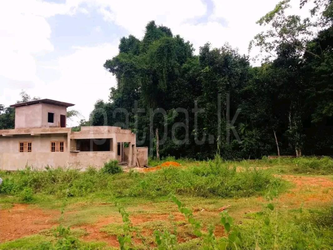 Commercial Land for Sale in Thihariya ads-image-1