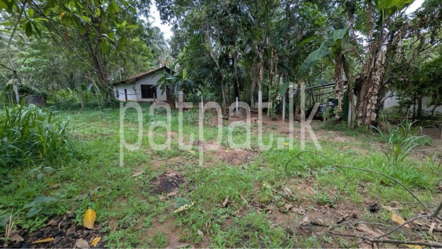Residential Land for Sale in Veyangoda
