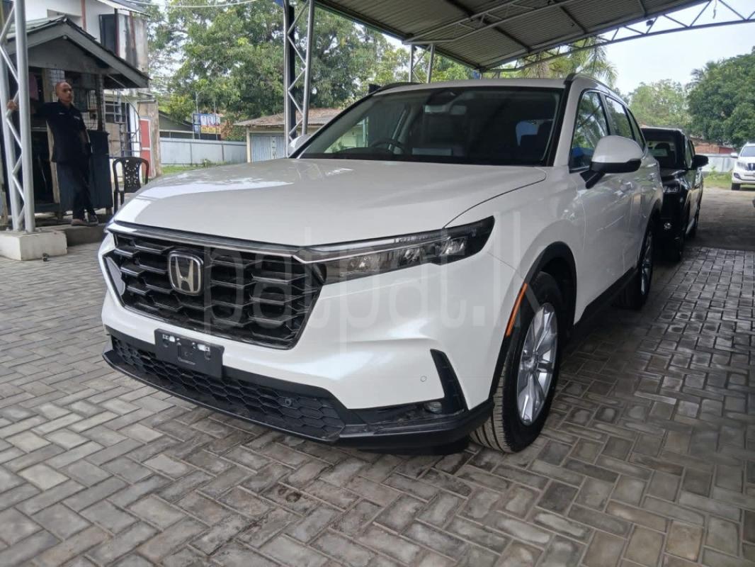 Advertisement image 2