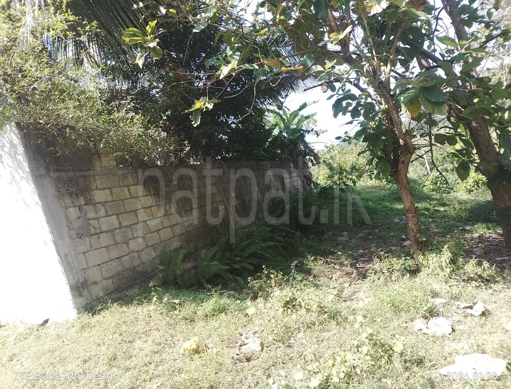 Agricultural Land for Sale in Kundasale ads-image-1