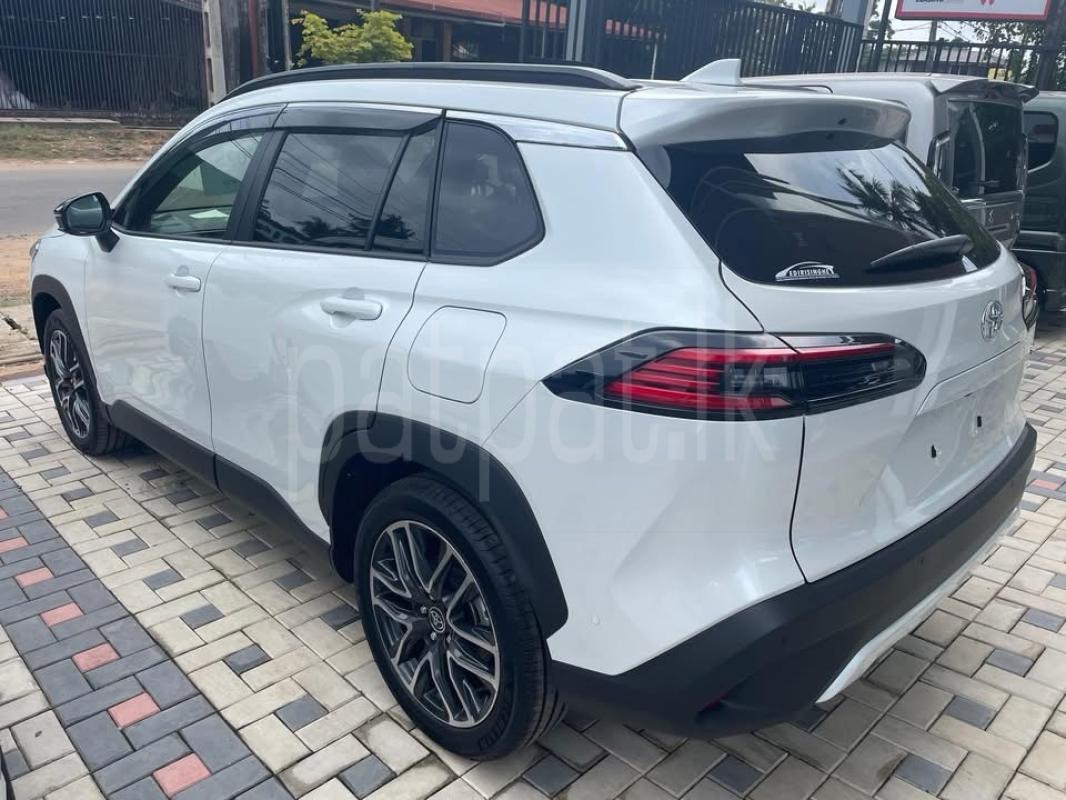 Advertisement image 3