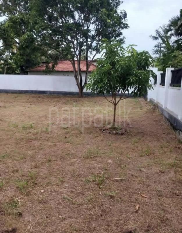 Residential Land for Sale in Wadduwa
