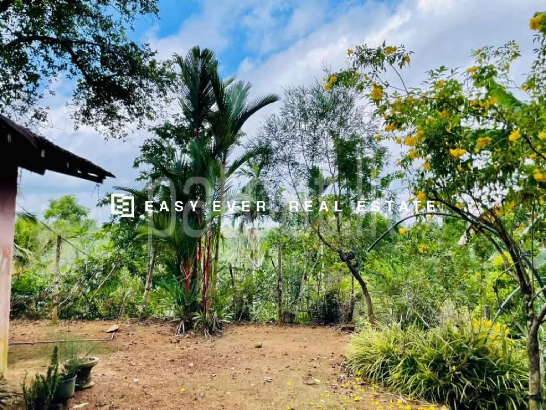 House for Sale in Nittambuwa