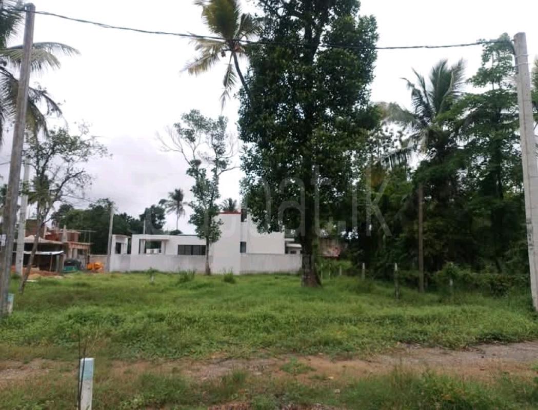 Commercial Land for Sale in Polgasowita