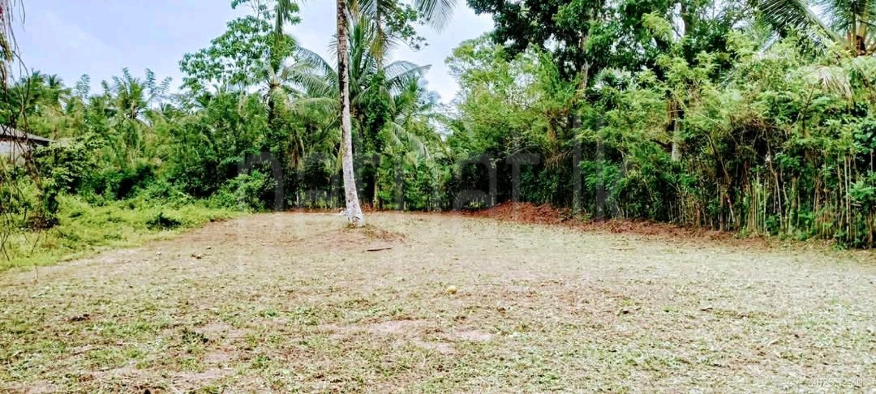 Commercial Land for Sale in Kaleliya