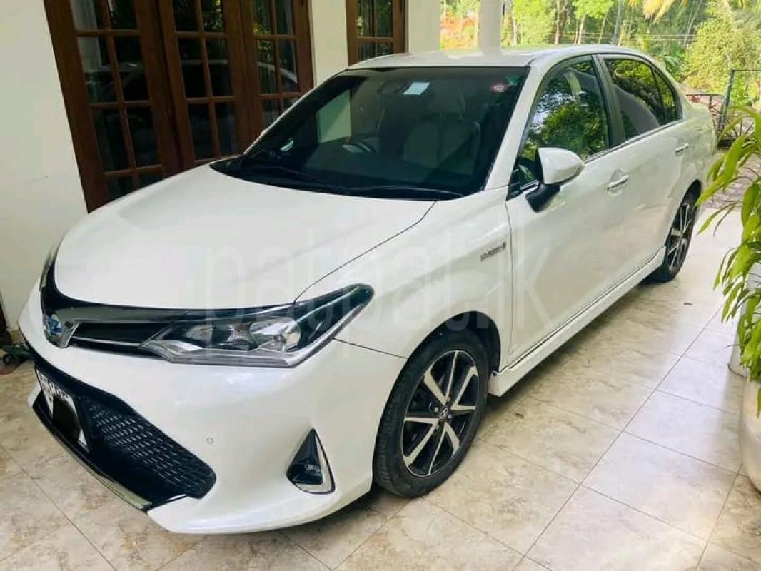 Advertisement image 3