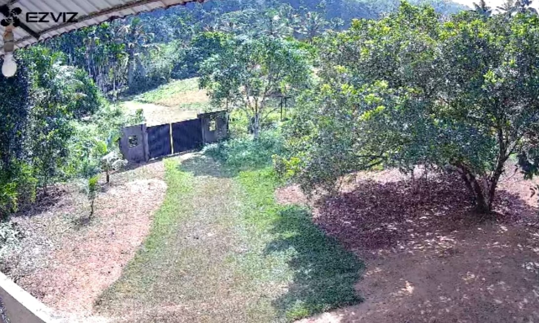 Agricultural Land for Rent in Padukka