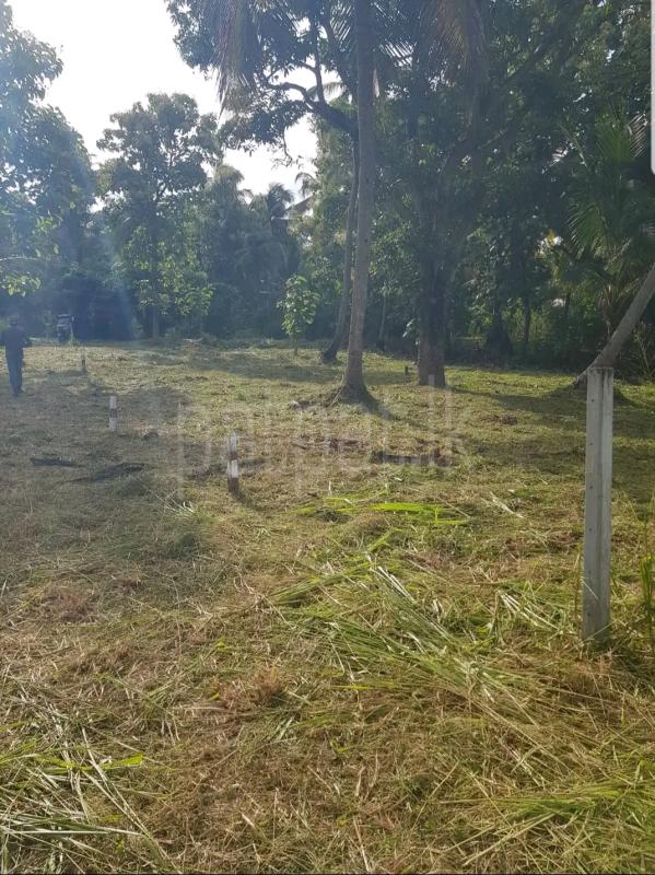 Agricultural Land for Sale in Ridigama