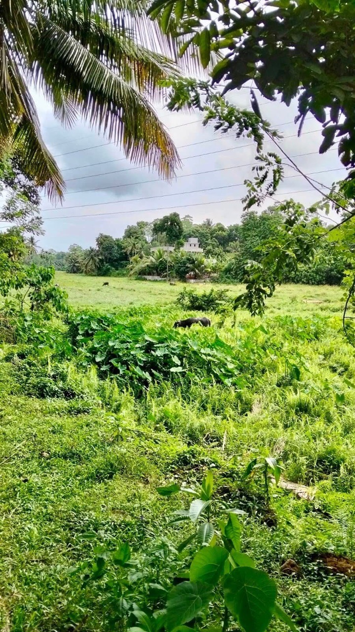 Residential Land for Sale in Galle