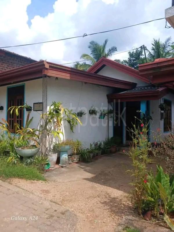 House for Sale in Alawwa ads-image-1