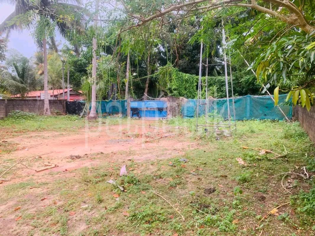 Residential Land for Sale in Ridigama