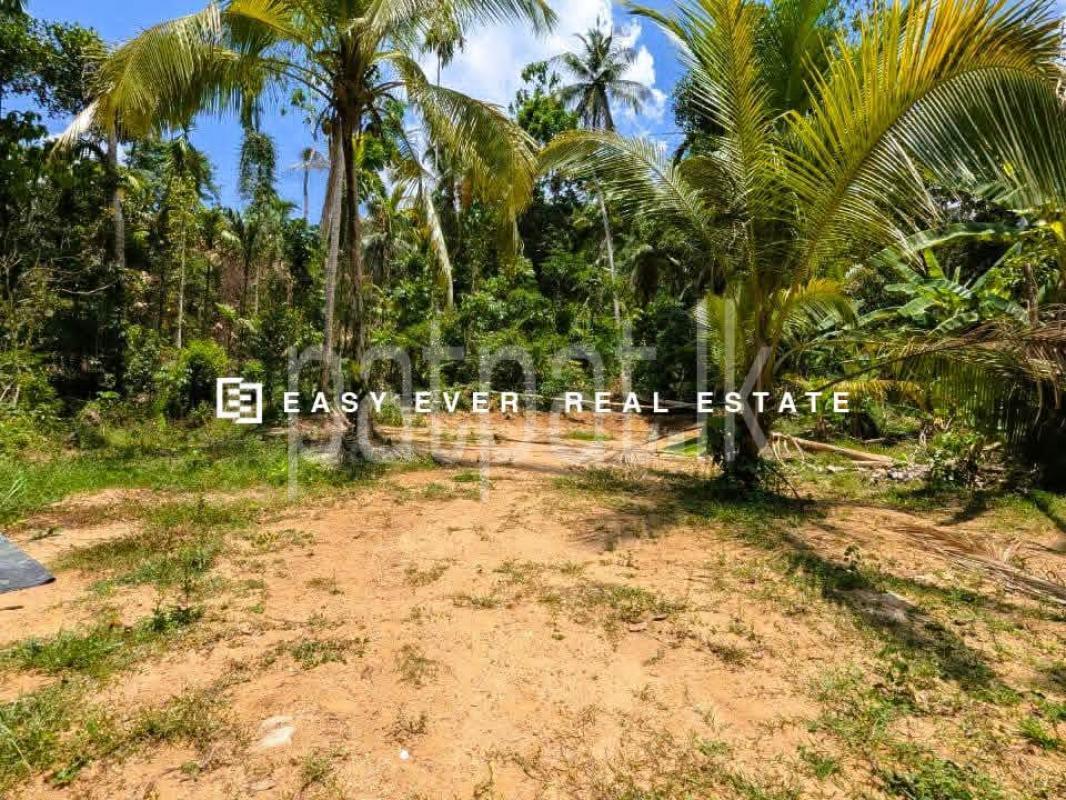 Residential Land for Sale in Yakkala