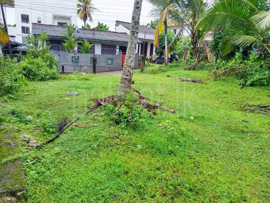 Residential Land for Sale in Avissawella