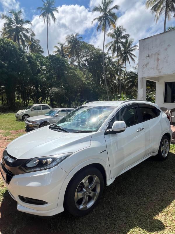 Advertisement image 3