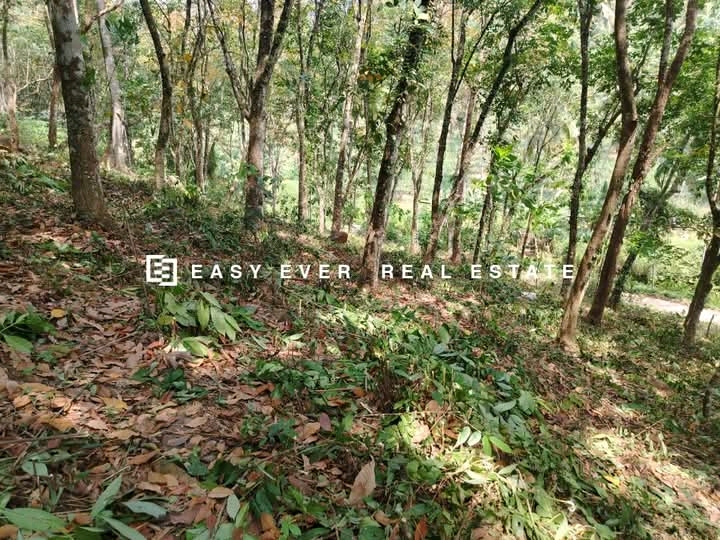 Commercial Land for Sale in Kaleliya