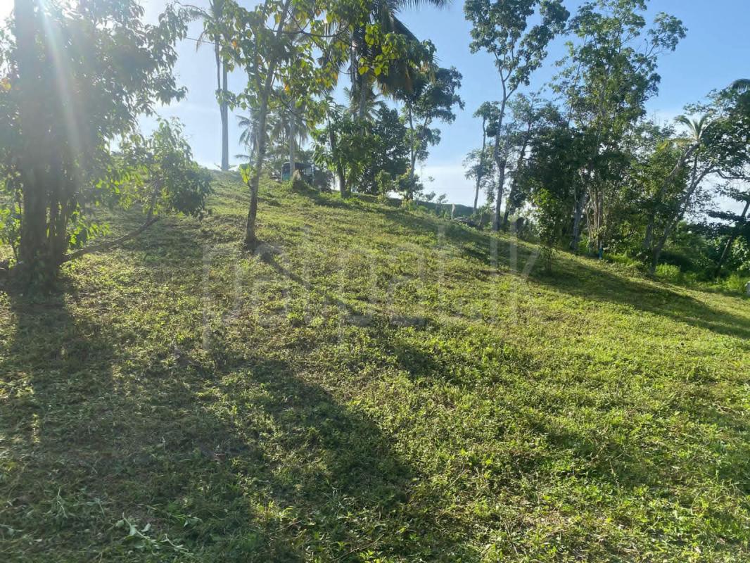 Residential Land for Sale in Hikkaduwa