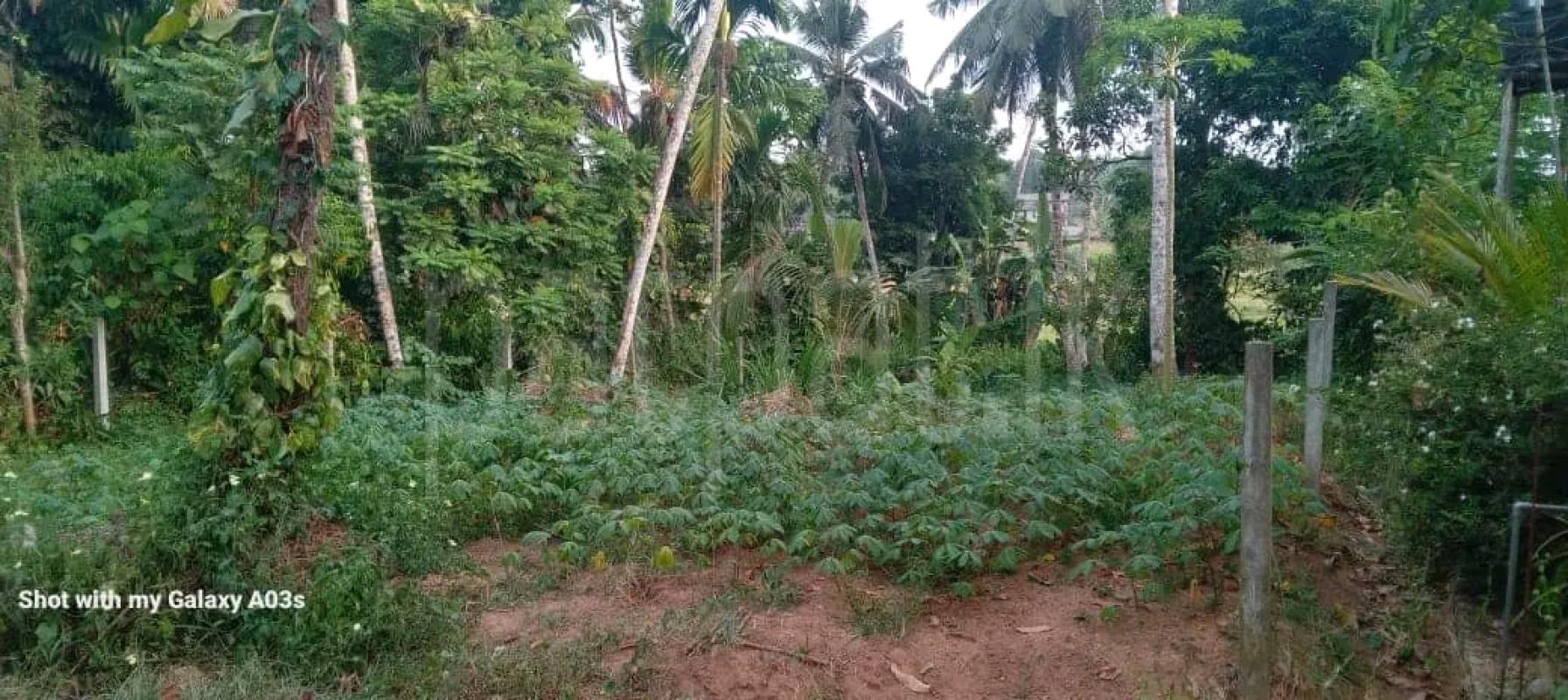 Residential Land for Sale in Piliyandala