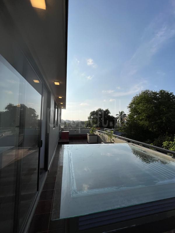 Advertisement image 14