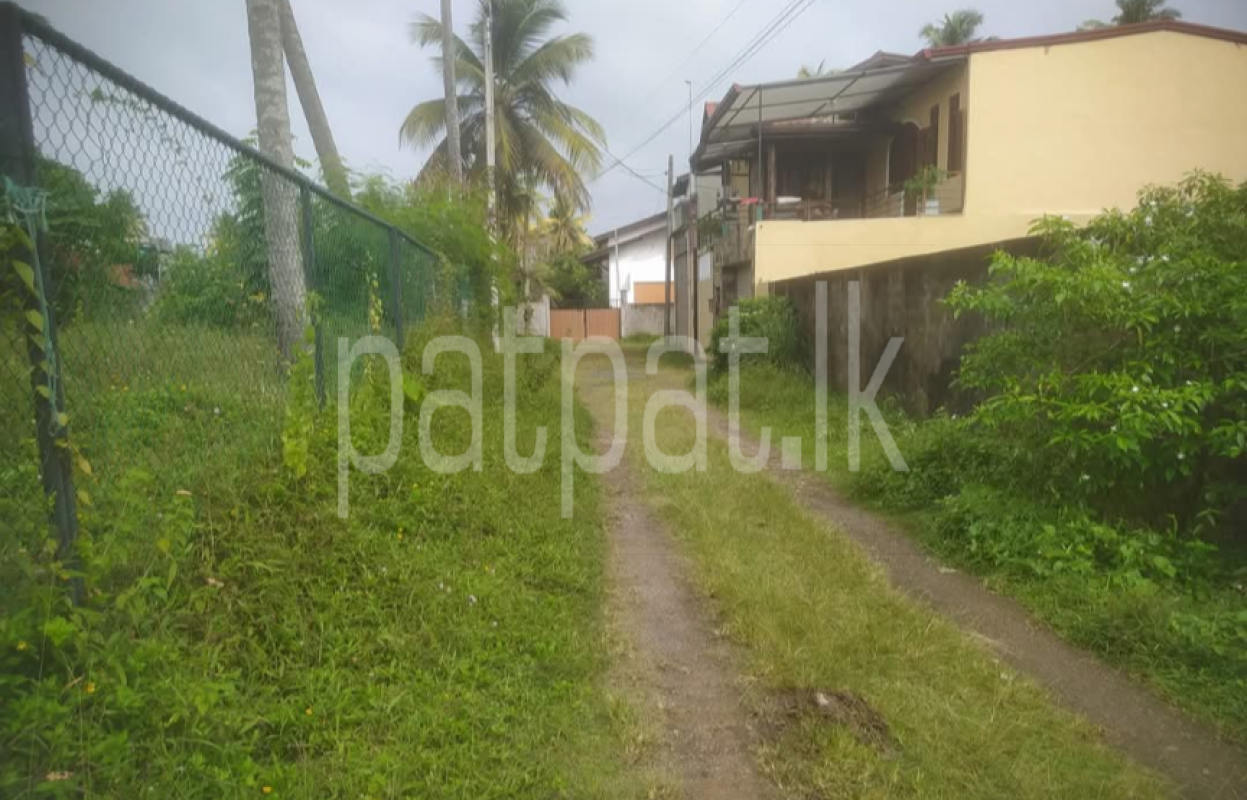 Advertisement image 5