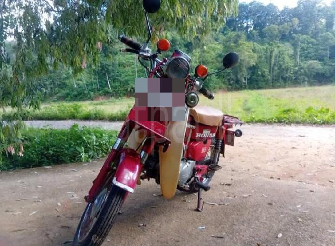 Advertisement image 1