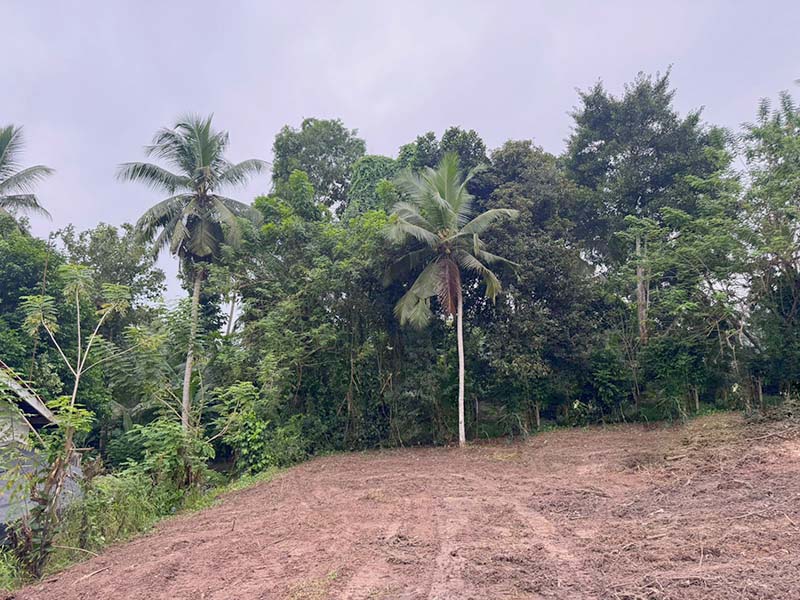 Residential Land for Sale in Minuwangoda
