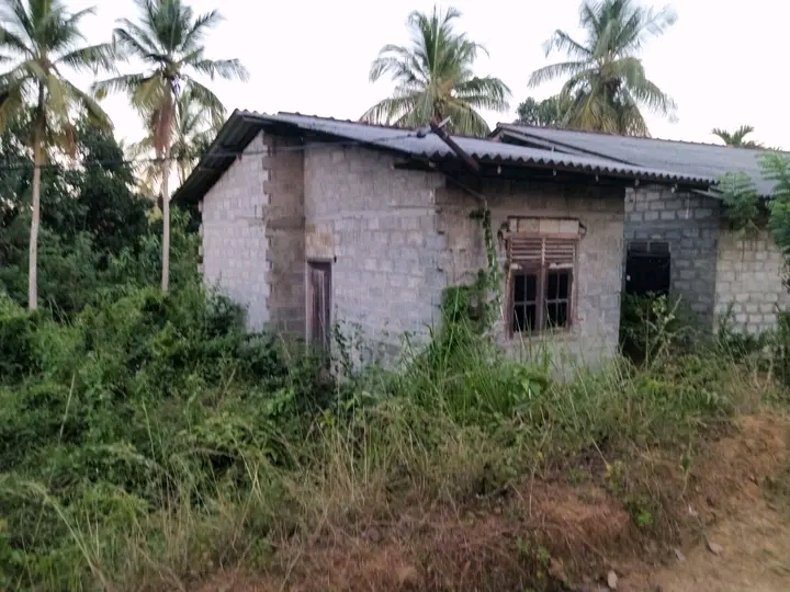 House for Sale in Beliatta ads-image-1