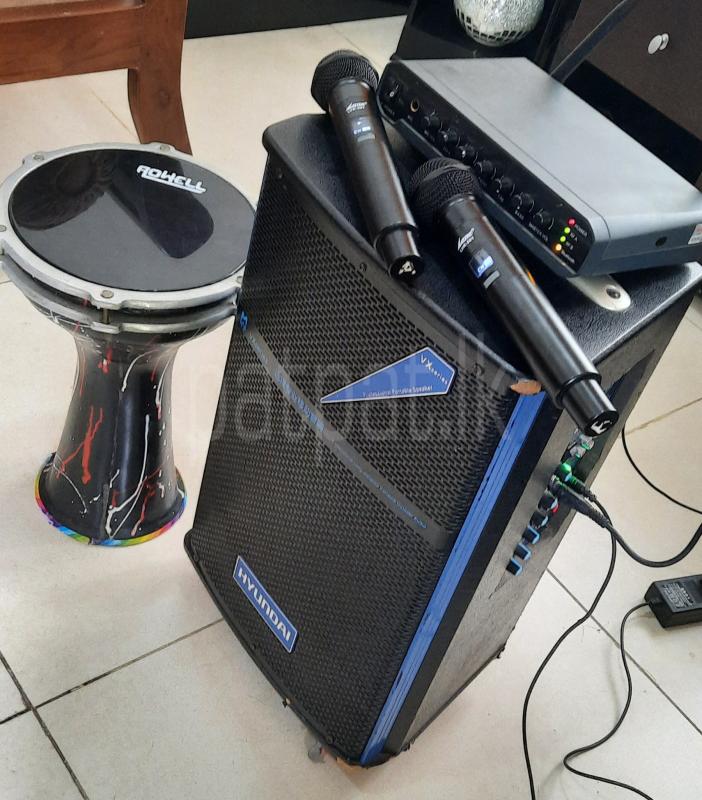 Karaoke Rechargeable Speaker with Mics