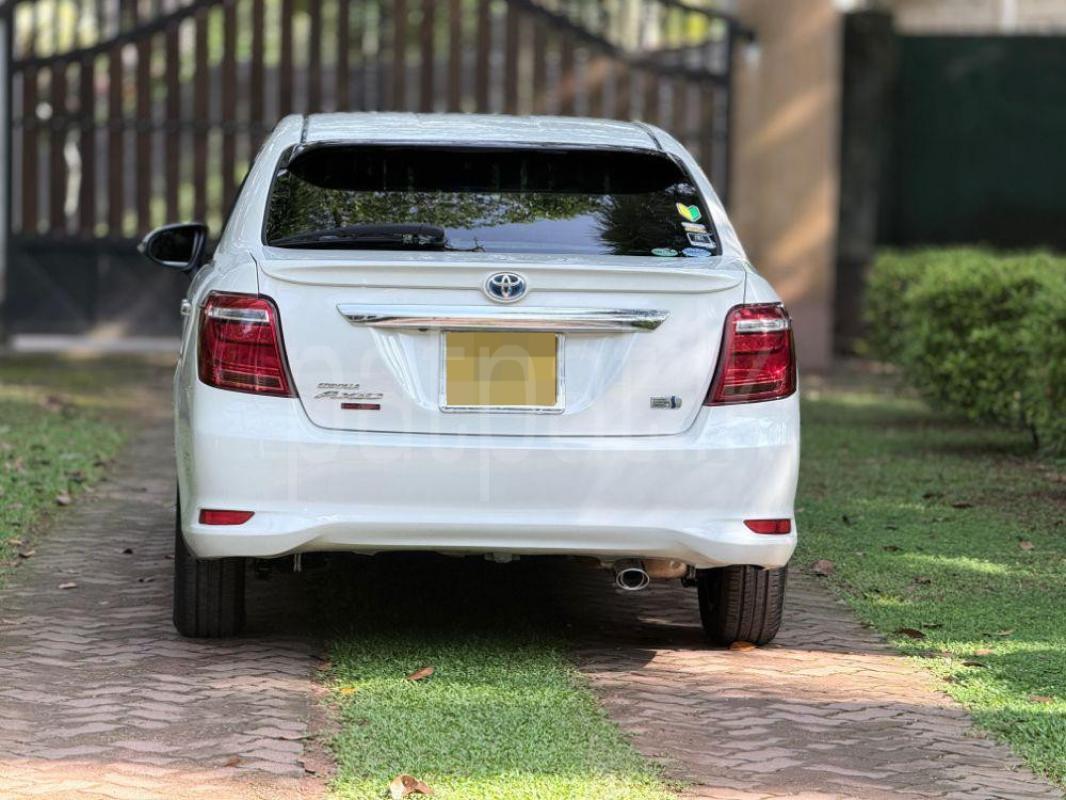 Advertisement image 6