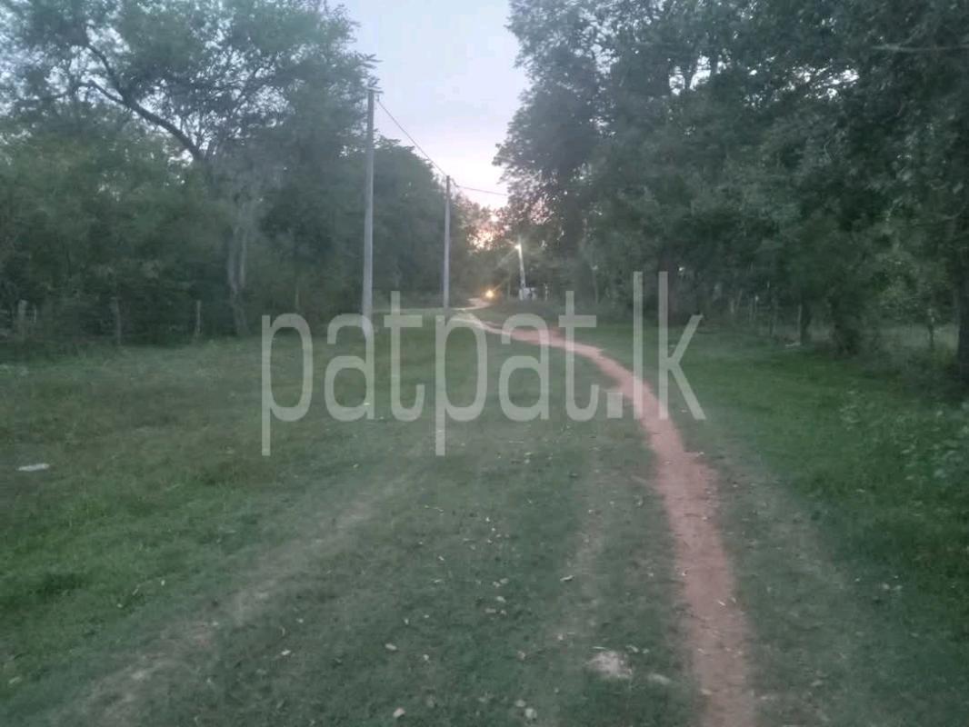 Residential Land for Sale in Avissawella