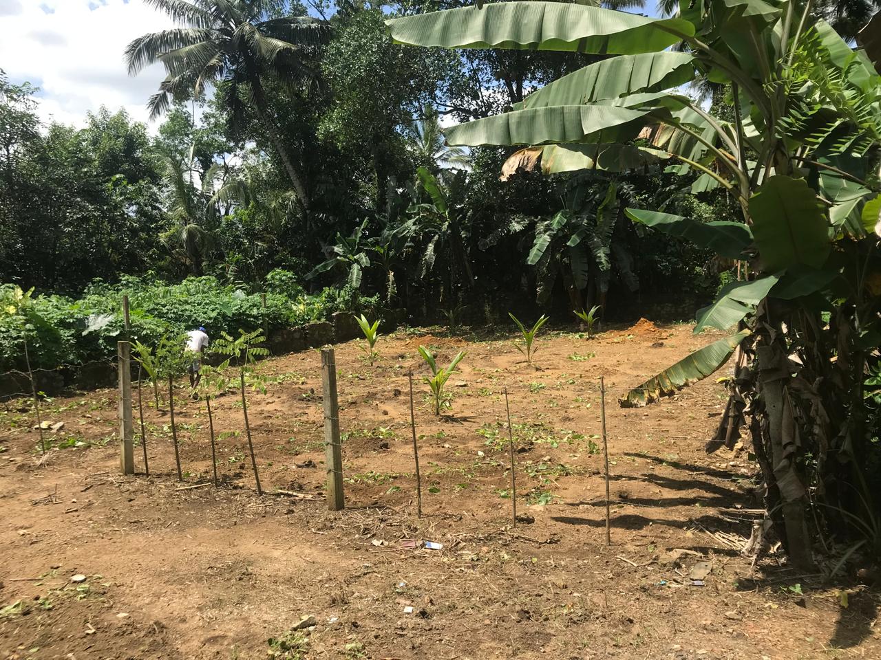 Residential Land for Sale in Padukka