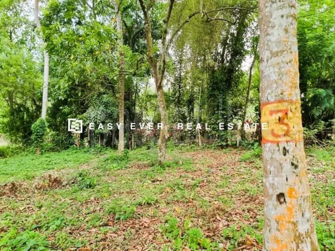 Commercial Land for Sale in Kirindiwela ads-image-1