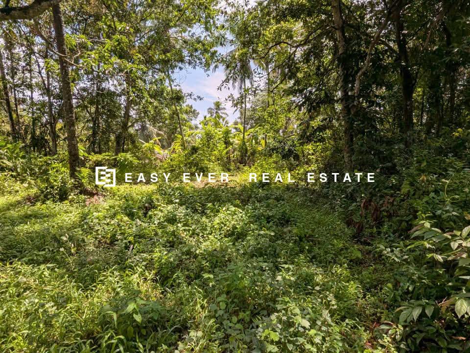 Residential Land for Sale in Kadawatha